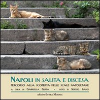 Napoli in salita e discesa. Percorso alla scoperta delle scale napoletane - Librerie.coop