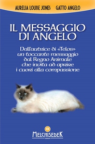 Il messaggio di Angelo - Librerie.coop