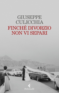 Finchè divorzio non vi separi - Librerie.coop