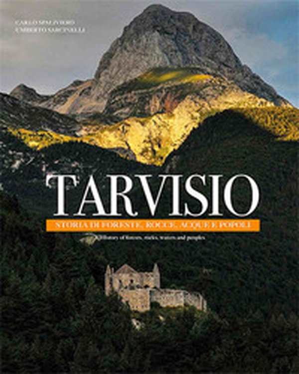 Tarvisio. Storie di foreste, rocce, acque e popoli. Ediz. italiana e inglese - Librerie.coop Tarvisio. Storie di foreste, rocce, acque e popoli. Ediz. italiana e inglese - Librerie.coop