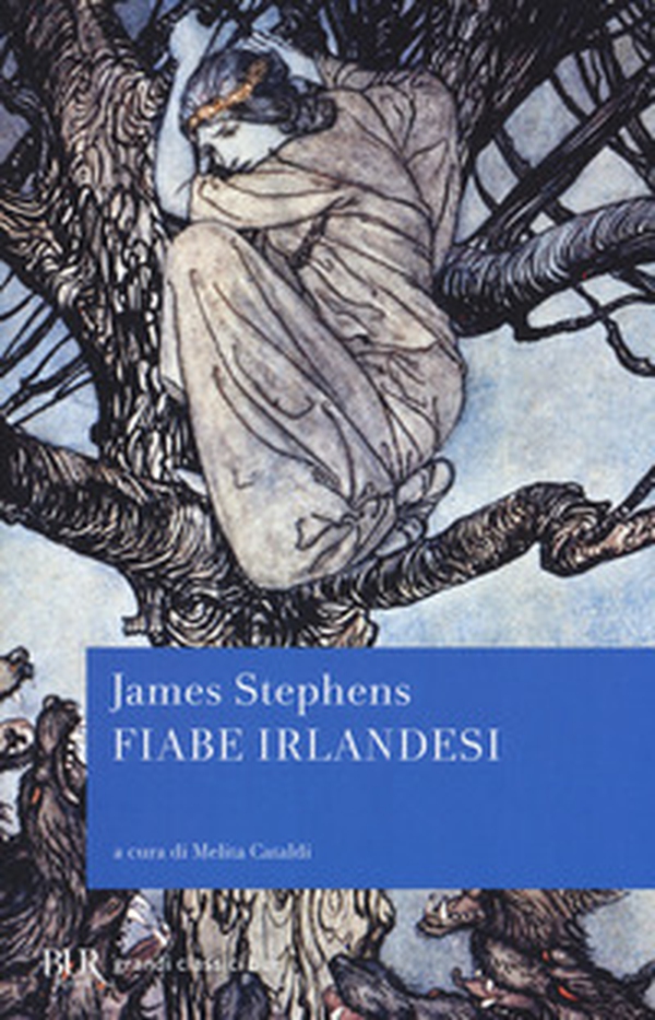 Fiabe irlandesi - Librerie.coop Fiabe irlandesi - Librerie.coop