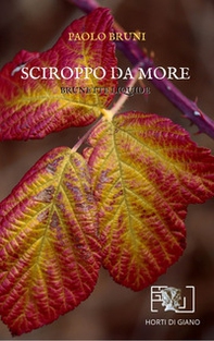 Sciroppo da more. Brunette liquide - Librerie.coop