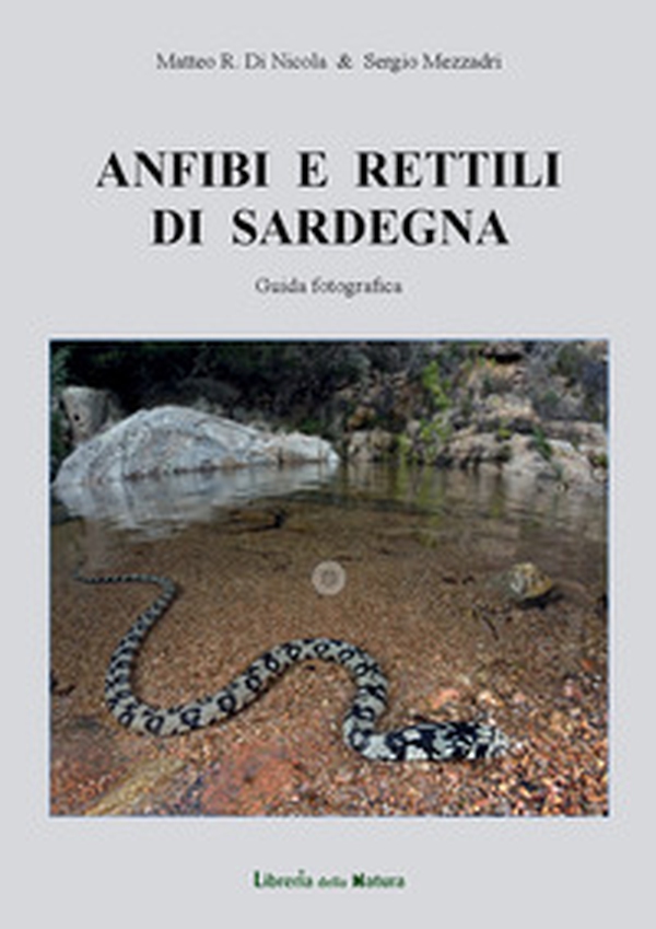 Anfibi e rettili di Sardegna. Guida fotografica - Librerie.coop Anfibi e rettili di Sardegna. Guida fotografica - Librerie.coop