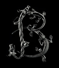 Berengo: 30 years in glass - Librerie.coop