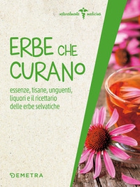 Erbe che curano. Essenze, tisane, unguenti, liquori e il ricettario delle erbe selvatiche - Librerie.coop Erbe che curano. Essenze, tisane, unguenti, liquori e il ricettario delle erbe selvatiche - Librerie.coop