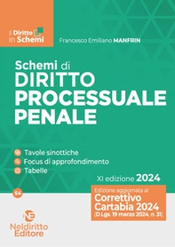 Schemi di diritto processuale penale - Librerie.coop