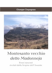 Montesanto vecchio detto Madonneja. Tesori nascosti rivelati dalla Vergine dell'Assunta - Librerie.coop