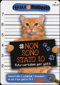 Non sono stato io. Foto-cartoline per gatti - Librerie.coop