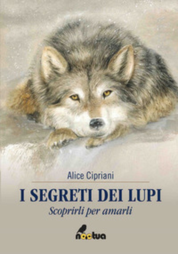 I segreti dei lupi. Scoprirli per amarli - Librerie.coop I segreti dei lupi. Scoprirli per amarli - Librerie.coop