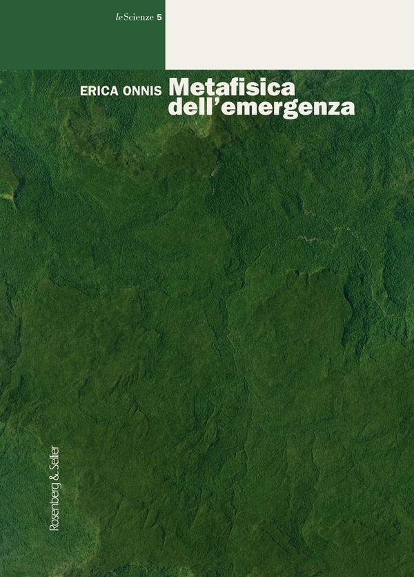 Metafisica dell'emergenza - Librerie.coop Metafisica dell'emergenza - Librerie.coop