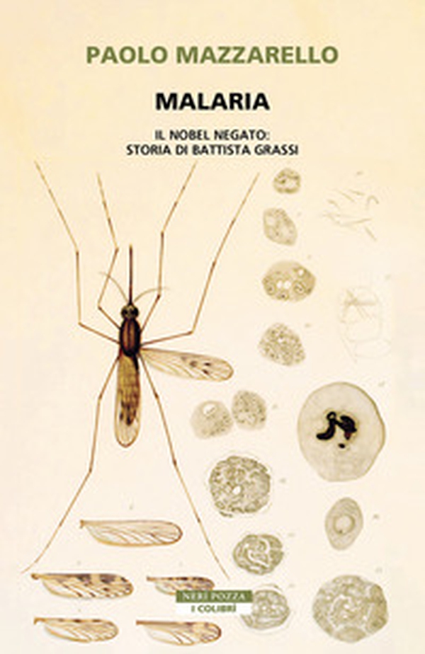 Malaria. Il Nobel negato: storia di Battista Grassi - Librerie.coop Malaria. Il Nobel negato: storia di Battista Grassi - Librerie.coop