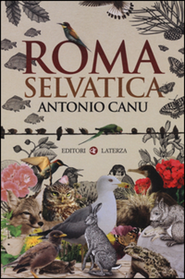 Roma selvatica - Librerie.coop Roma selvatica - Librerie.coop