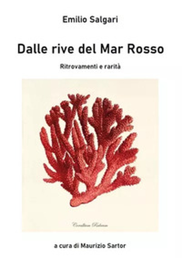Dalle rive del Mar Rosso. Ritrovamenti e rarità - Librerie.coop Dalle rive del Mar Rosso. Ritrovamenti e rarità - Librerie.coop