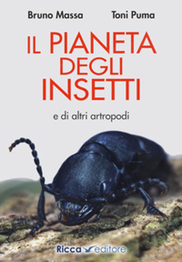 Il pianeta degli insetti e di altri artropodi - Librerie.coop Il pianeta degli insetti e di altri artropodi - Librerie.coop