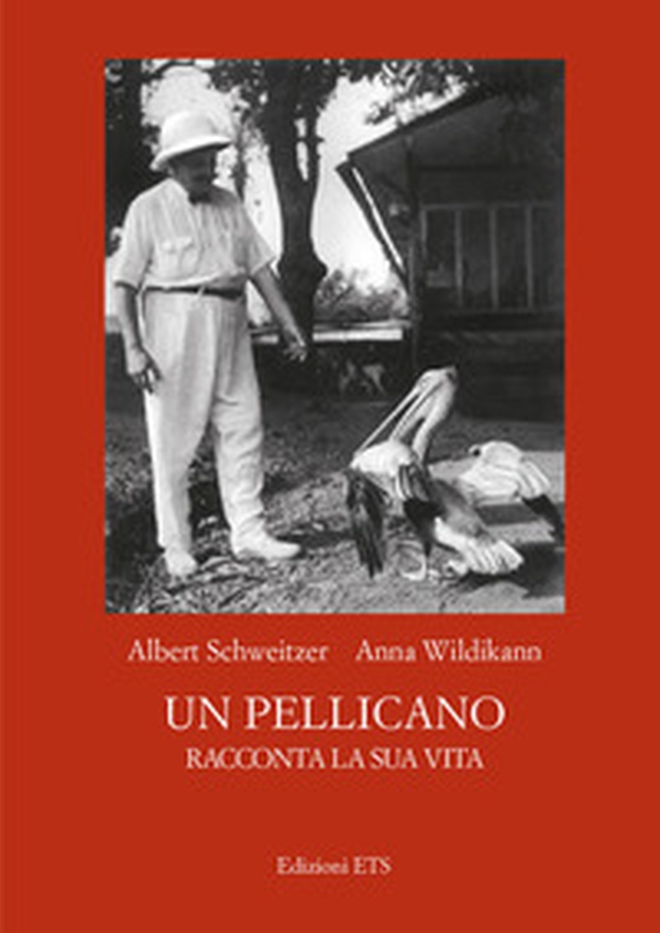 Un pellicano racconta la sua vita - Librerie.coop Un pellicano racconta la sua vita - Librerie.coop