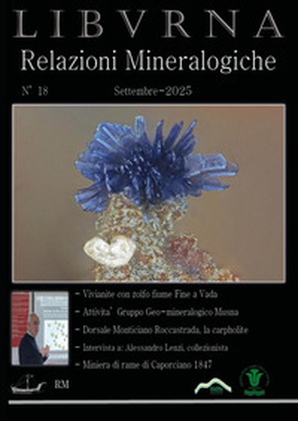 Relazioni mineralogiche. Libvrna - Vol. 18 - Librerie.coop Relazioni mineralogiche. Libvrna - Vol. 18 - Librerie.coop