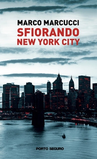 Sfiorando New York City - Librerie.coop