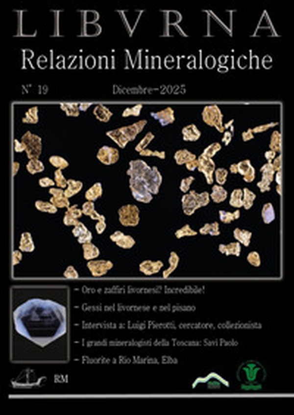 Relazioni mineralogiche. Libvrna - Vol. 19 - Librerie.coop