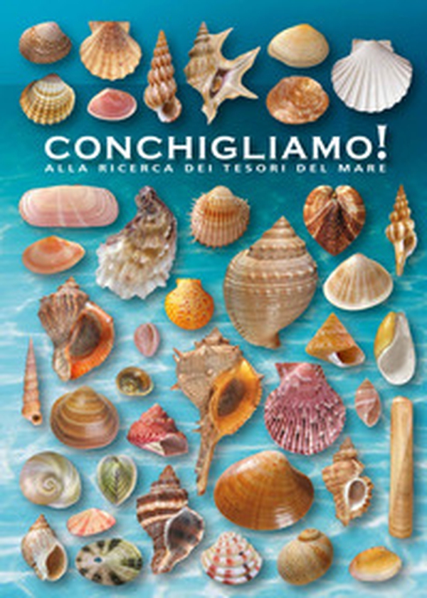Conchigliamo! Alla ricerca dei tesori del mare - Librerie.coop Conchigliamo! Alla ricerca dei tesori del mare - Librerie.coop