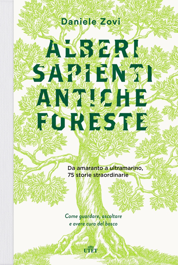 Alberi sapienti, antiche foreste - Librerie.coop Alberi sapienti, antiche foreste - Librerie.coop