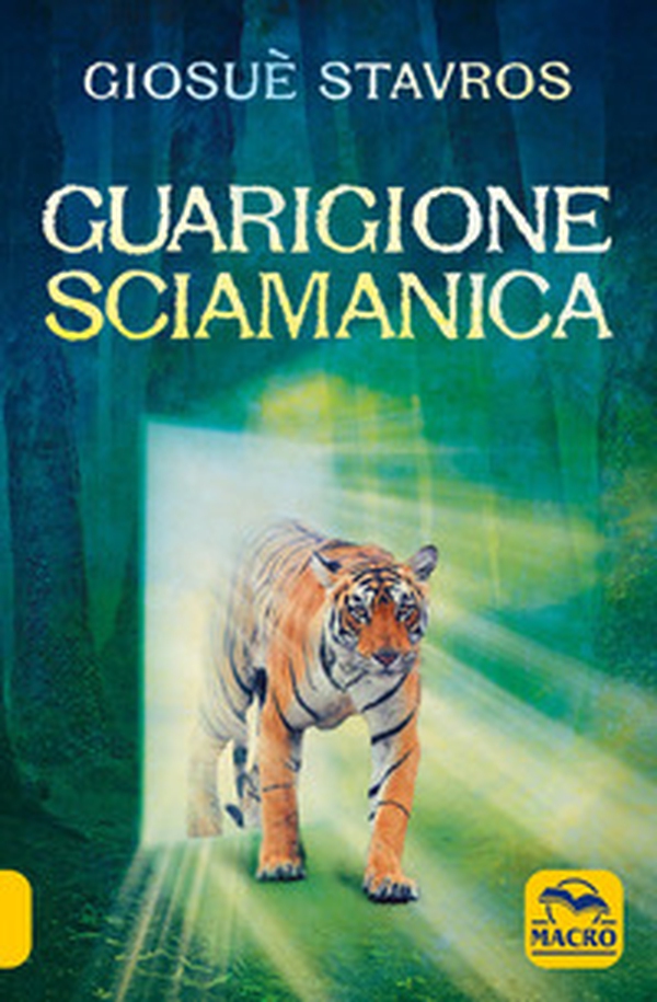 Guarigione sciamanica - Librerie.coop Guarigione sciamanica - Librerie.coop