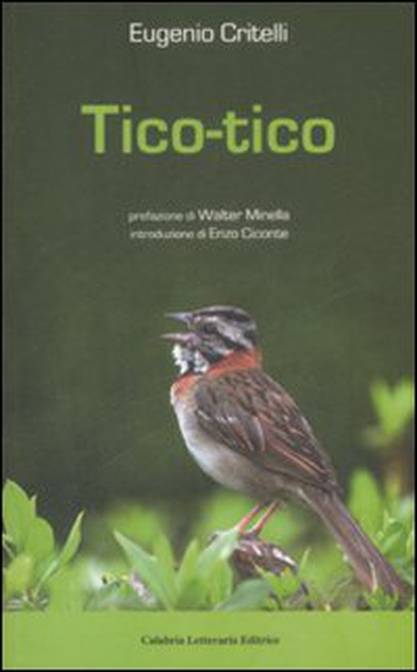 Tico-tico - Librerie.coop Tico-tico - Librerie.coop