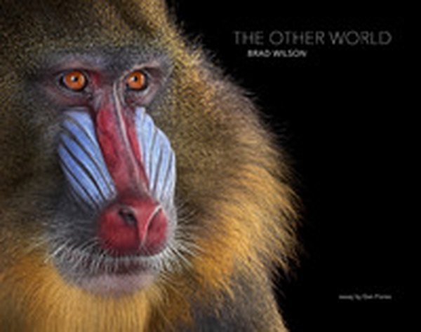 The other world. Animal portraits - Librerie.coop The other world. Animal portraits - Librerie.coop