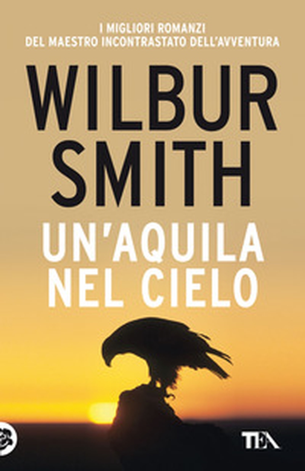 Un'aquila nel cielo - Librerie.coop Un'aquila nel cielo - Librerie.coop