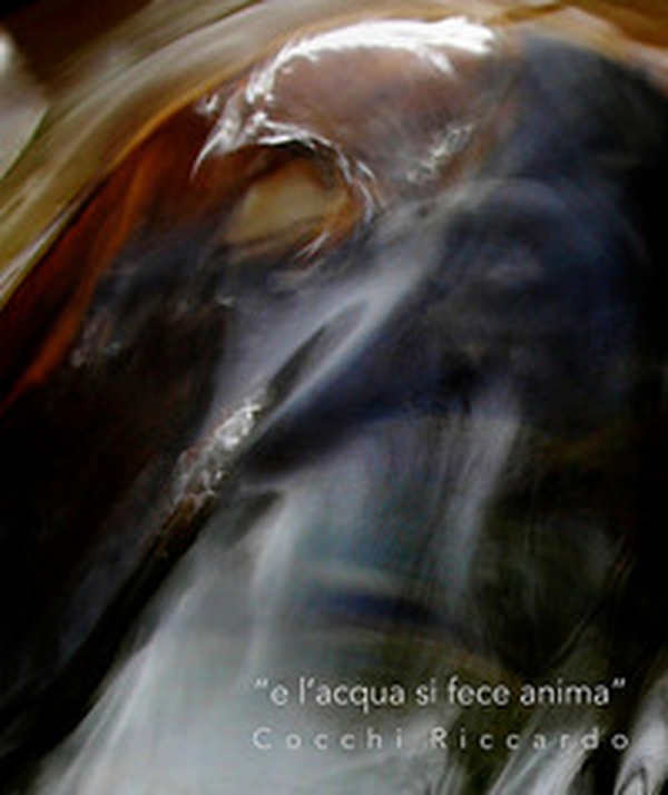 «E l'acqua si fece anima» - Librerie.coop «E l'acqua si fece anima» - Librerie.coop