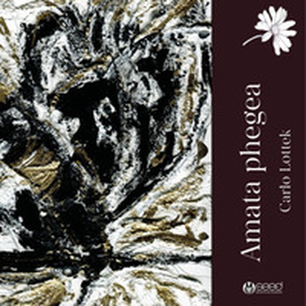 Amata phegea - Librerie.coop