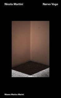 Nicola Martini. Nervo vago. Ediz. italiana e inglese - Librerie.coop