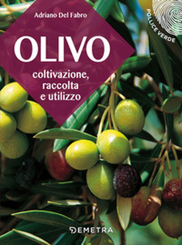 L'olivo. Coltivazione, raccolta e utilizzo - Librerie.coop L'olivo. Coltivazione, raccolta e utilizzo - Librerie.coop
