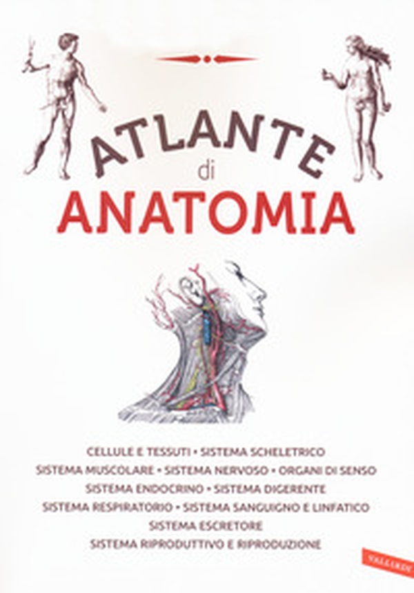 Atlante di anatomia - Librerie.coop Atlante di anatomia - Librerie.coop