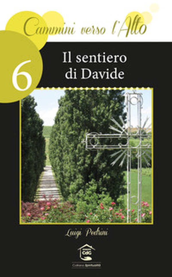 Il sentiero di Davide - Librerie.coop