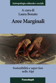 Aree marginali. Sostenibilità e saper fare nelle Alpi - Librerie.coop