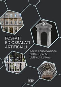Fosfati ed ossalati artificiali per la conservazione delle superfici dell'architettura - Librerie.coop