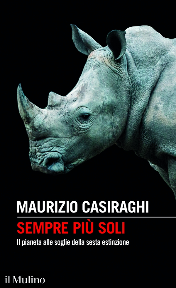 Sempre più soli - Librerie.coop Sempre più soli - Librerie.coop