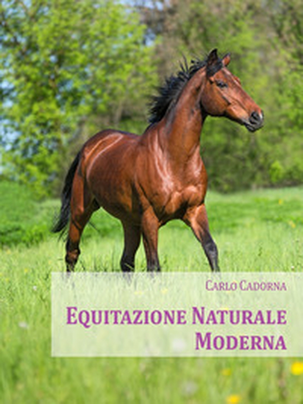 Equitazione naturale moderna. Nel segno di Caprilli - Librerie.coop Equitazione naturale moderna. Nel segno di Caprilli - Librerie.coop