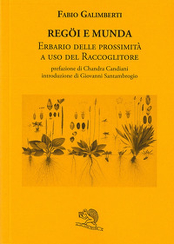 Regöi e munda. Erbario delle prossimità a uso del raccoglitore - Librerie.coop Regöi e munda. Erbario delle prossimità a uso del raccoglitore - Librerie.coop