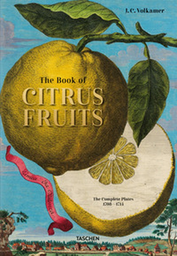 Johann Christoph Volkamer. The book of citrus fruits. Ediz. inglese, francese e tedesca - Librerie.coop Johann Christoph Volkamer. The book of citrus fruits. Ediz. inglese, francese e tedesca - Librerie.coop