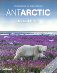 Antarctic. A tribute to life in the polar regions - Librerie.coop