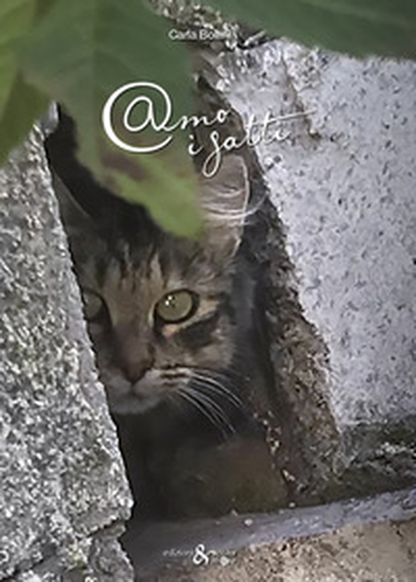 Amo i gatti - Librerie.coop Amo i gatti - Librerie.coop