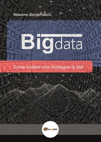 Big data. Come scalare una montagna di dati - Librerie.coop