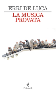 La musica provata - Librerie.coop