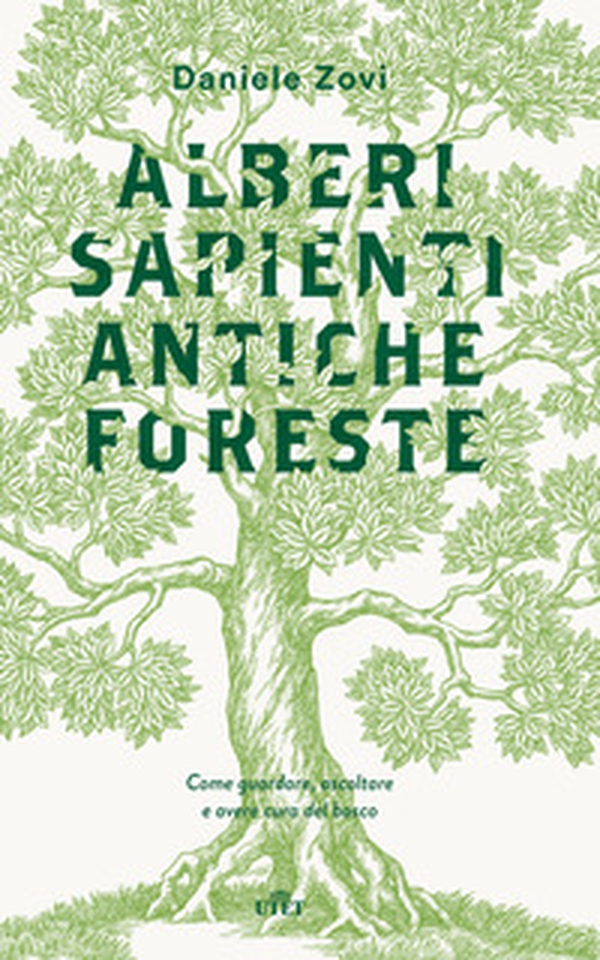 Alberi sapienti antiche foreste. Come guardare, ascoltare e avere cura del bosco - Librerie.coop Alberi sapienti antiche foreste. Come guardare, ascoltare e avere cura del bosco - Librerie.coop