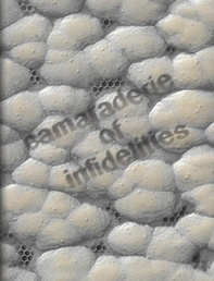 Camaraderie of infidelities - Librerie.coop