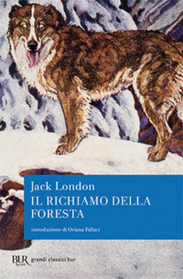 Il richiamo della foresta - Librerie.coop Il richiamo della foresta - Librerie.coop