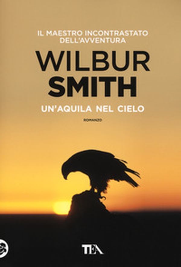 Un'aquila nel cielo - Librerie.coop Un'aquila nel cielo - Librerie.coop
