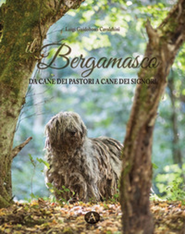 Il bergamasco. Da cane dei pastori a cane dei signori - Librerie.coop Il bergamasco. Da cane dei pastori a cane dei signori - Librerie.coop