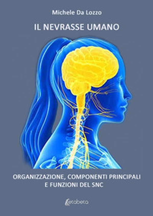 Il nevrasse umano. Organizzazione, componenti principali e funzioni del SNC - Librerie.coop Il nevrasse umano. Organizzazione, componenti principali e funzioni del SNC - Librerie.coop